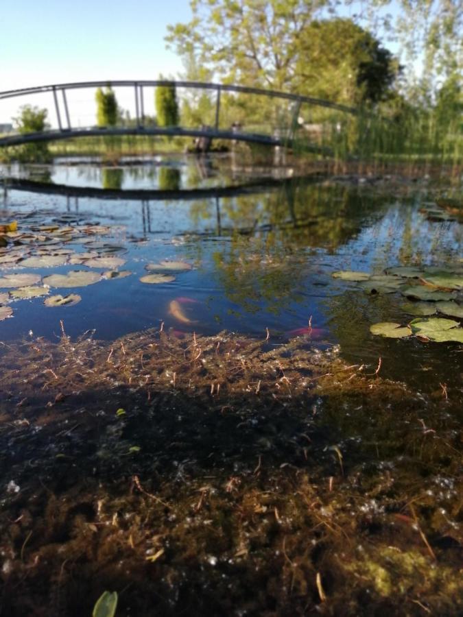 Отель Oasi Bianca Pomposa Экстерьер фото